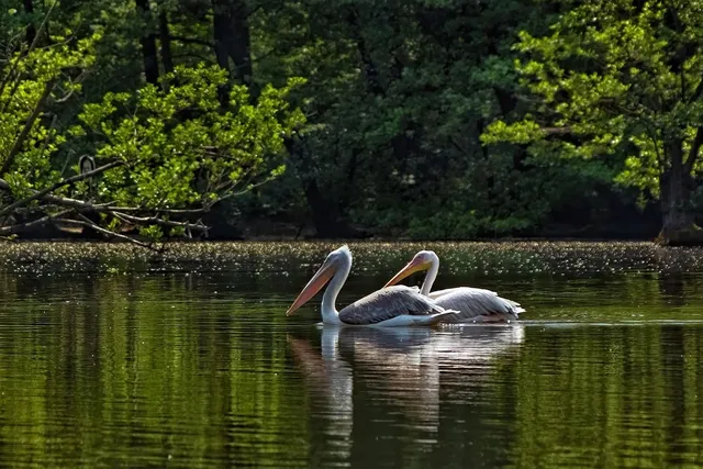 zionsville-photographer_indianapolis-wed